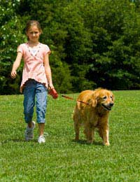 Exercise And Pets Health Benefits Of Pet