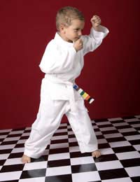 Martial Arts Taekwondo Kids Taekwondo